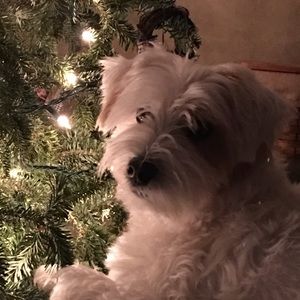 Meet your Posher, Tonya